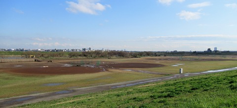 IMG_4163 (2)