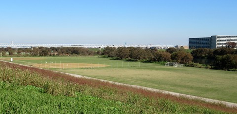 IMG_8531 (2)