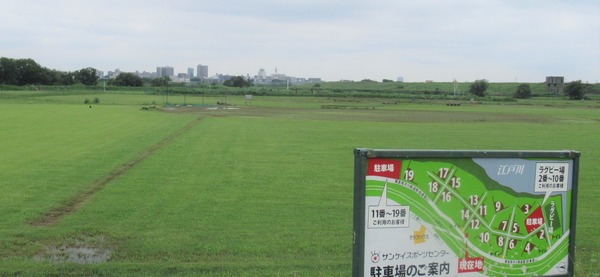 IMG_7936 (2)
