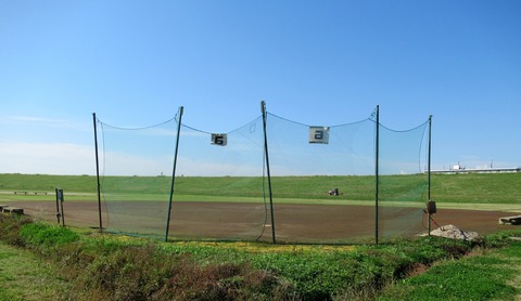 IMG_1212 (2)