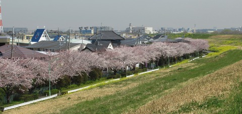 IMG_0700 (2)