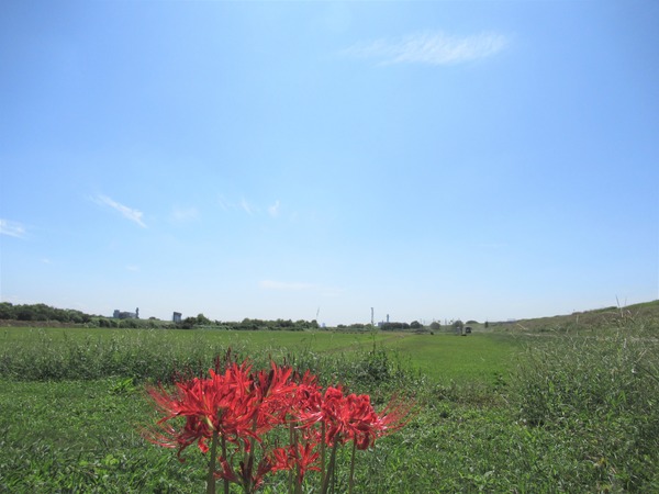 IMG_8864 (2)