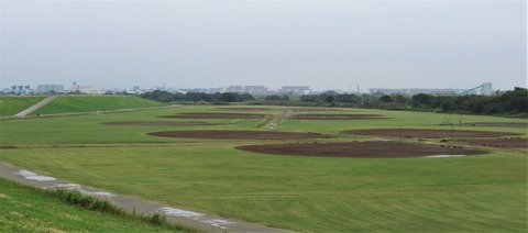 IMG_4206 (2)