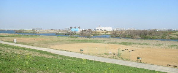 IMG_6563 (2)