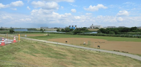 IMG_1233 (2)