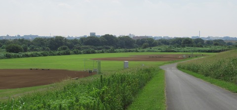 IMG_3174 (2)