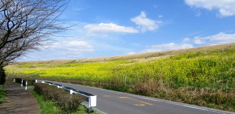 IMG_6814 (2)