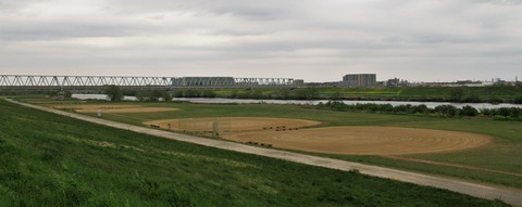 IMG_4656 (2)