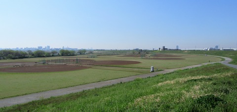 IMG_7423 (2)