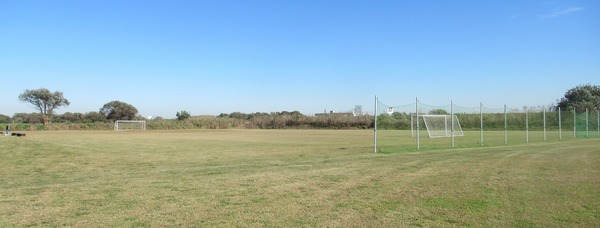 IMG_2539 (2)