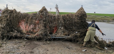 IMG_20191020_103803