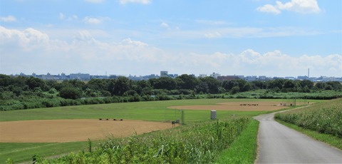 IMG_3367 (2)
