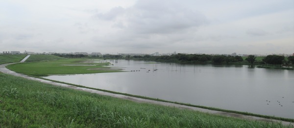 IMG_7850 (2)