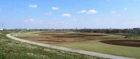 IMG_7118 (2)