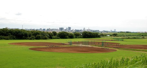 DSC_0734 (3)