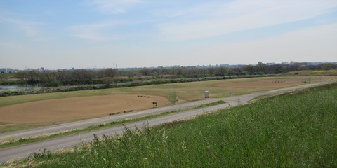IMG_0708 (2)
