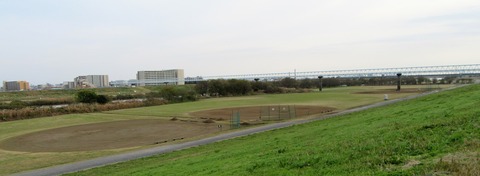 IMG_5394 (2)