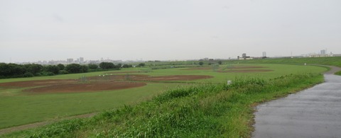 IMG_6619 (2)