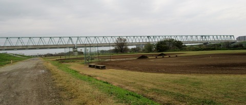IMG_5119 (2)