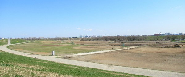 IMG_6518 (2)