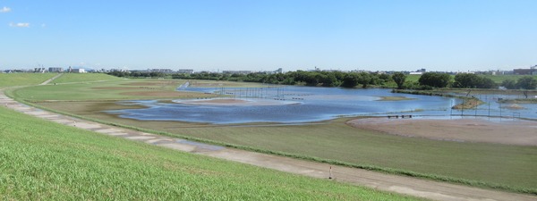 IMG_1817 (2)