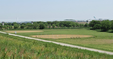 IMG_1189 (2)