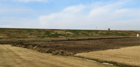 IMG_5658 (2)