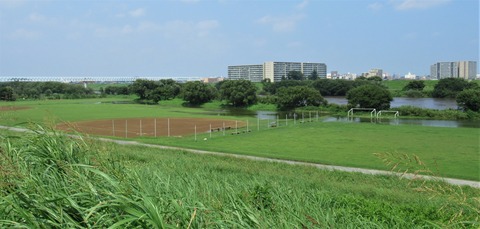 IMG_2597 (2)