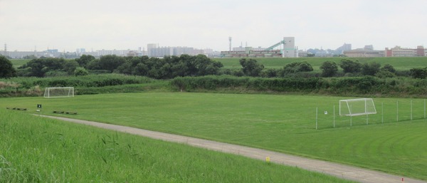IMG_8832 (2)
