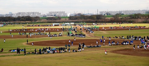 DSC_0172 (2)