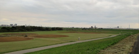 IMG_4063 (2)