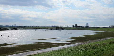 IMG_1442 (3)