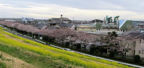 IMG_7234 (3)