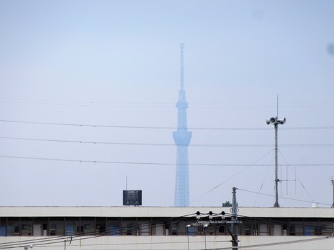 IMG_8615 (3)