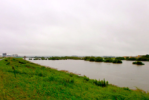 P9100195