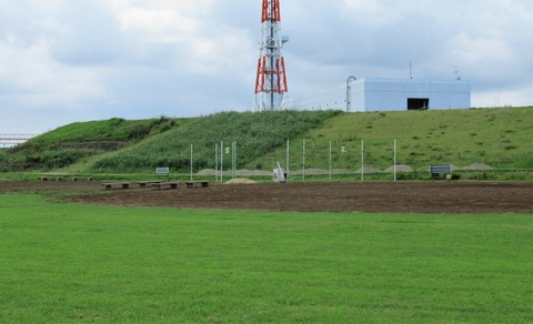 IMG_2503 (2)