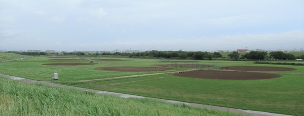 IMG_0961 (2)