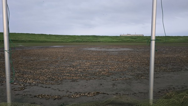 20240908_050644