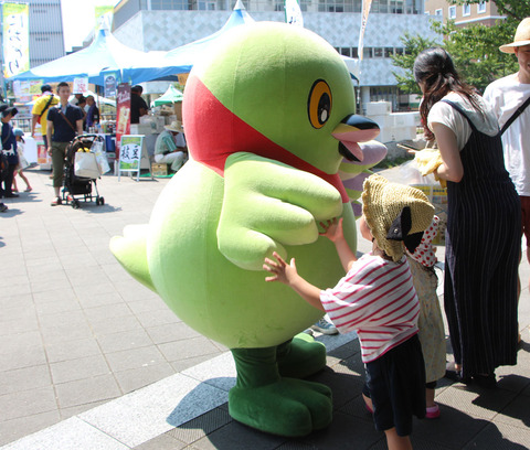 かいちゃん