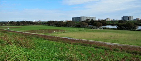 IMG_8588 (2)