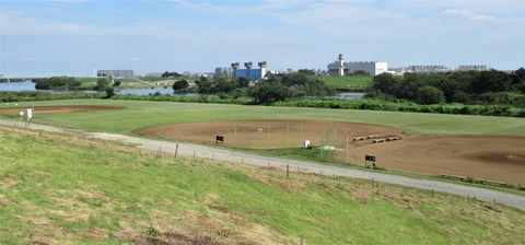 IMG_3804 (2)