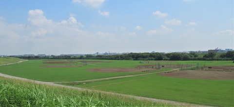 IMG_7463 (3)