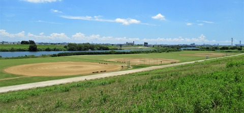 IMG_6696 (2)