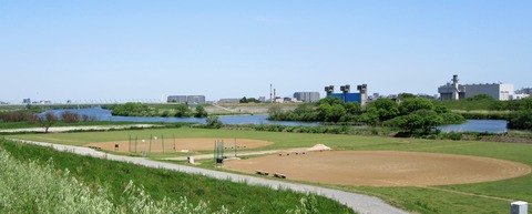 IMG_7998 (2)