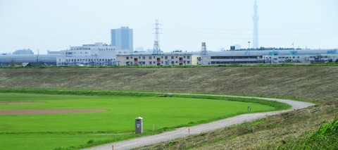 IMG_2104 (2)
