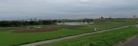 IMG_2695 (2)
