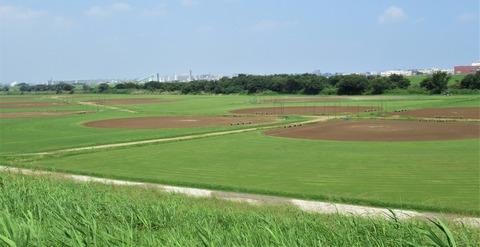 IMG_2585 (2)
