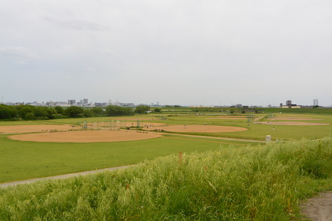 DSC_0979