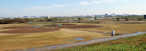 DSC_0297 (2)