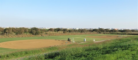 IMG_8337 (2)
